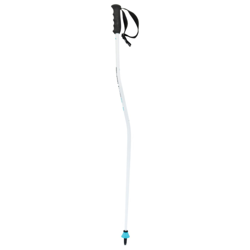 Head Worldcup SG Jr White Boys Ski Poles