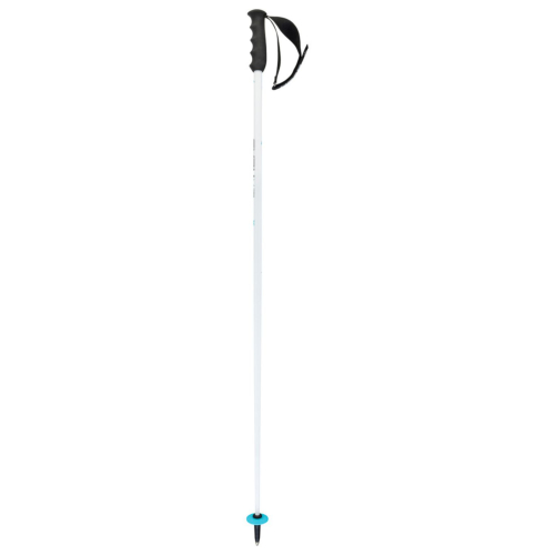 Head Worldcup SL White Ski Poles For Men