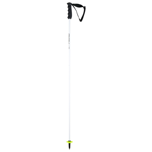 Head Worldcup Rebels Carbon White Ski Poles for Men