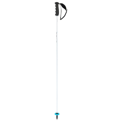 Head Worldcup Rebels Carbon White Men's Ski Poles
