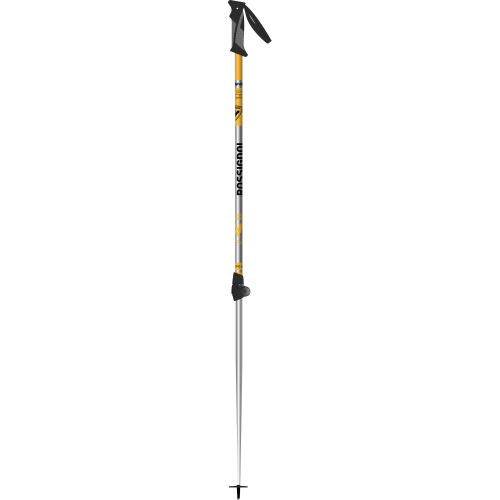 Rossignol Rental telescopic sr Grey ski poles for men