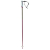 Ski Poles Volkl Phantastick W Berry Violet Women